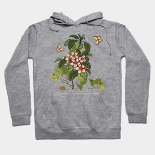 Botanical illustration of a plant, butterflies, snail and ladybugs Hoodie